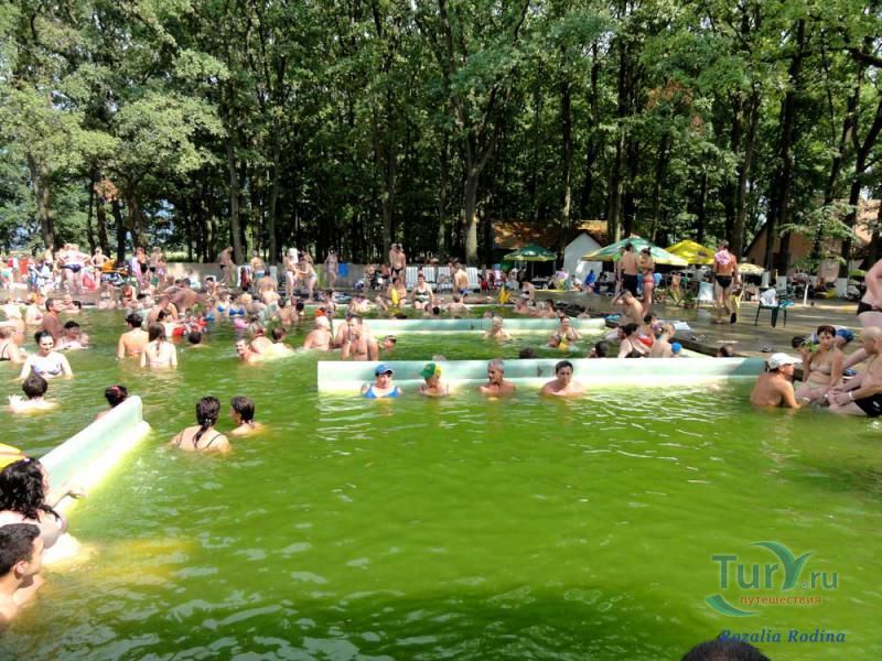 Минеральные источники в Косино