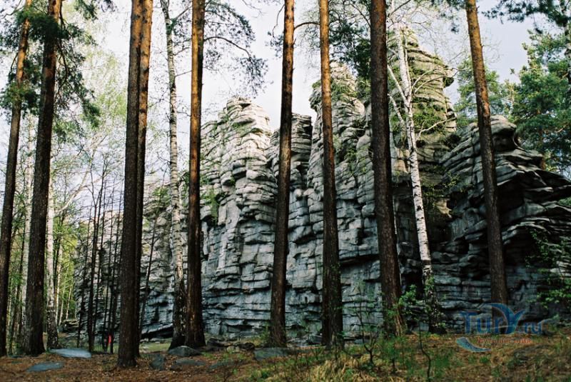 Скалы Чертово Городище