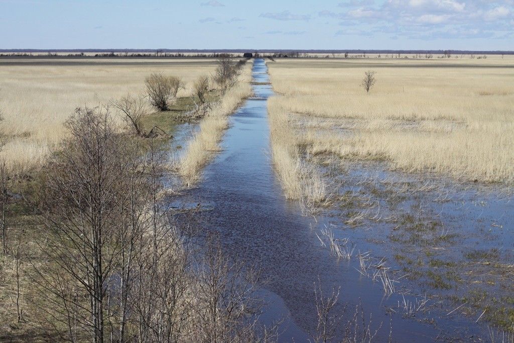 Вышка для наблюдения за птицами Пенийыэ