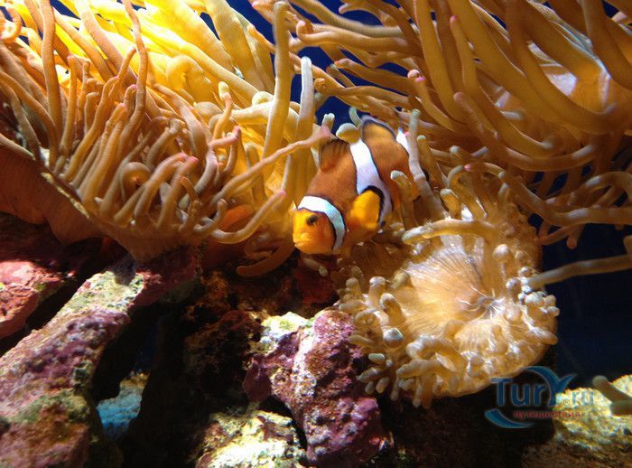 Музей Воды Аквариа