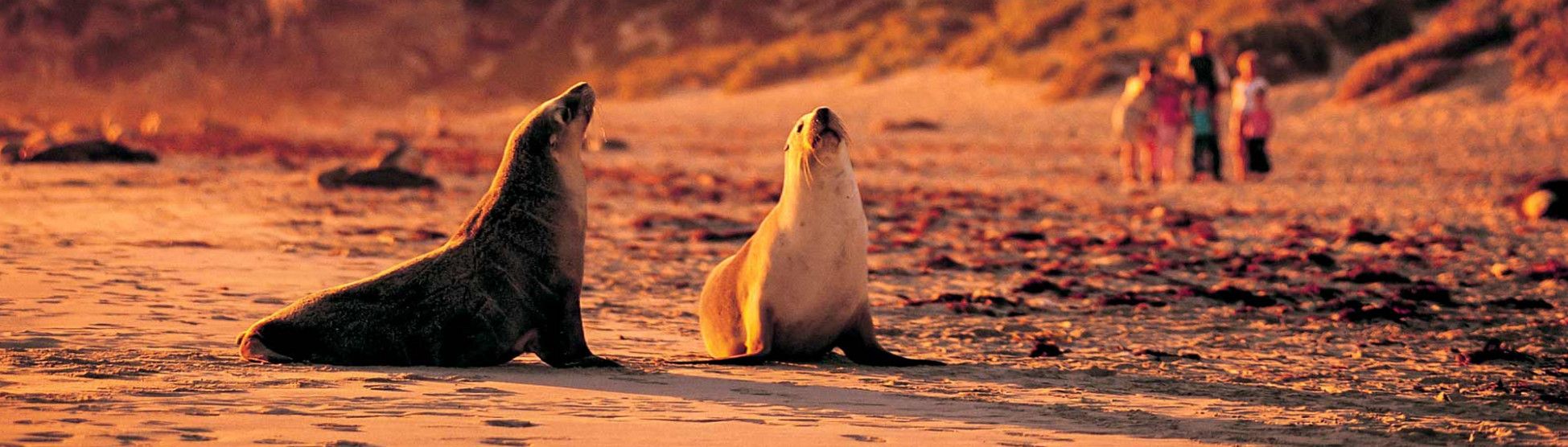 Заповедник Сил-Бэй