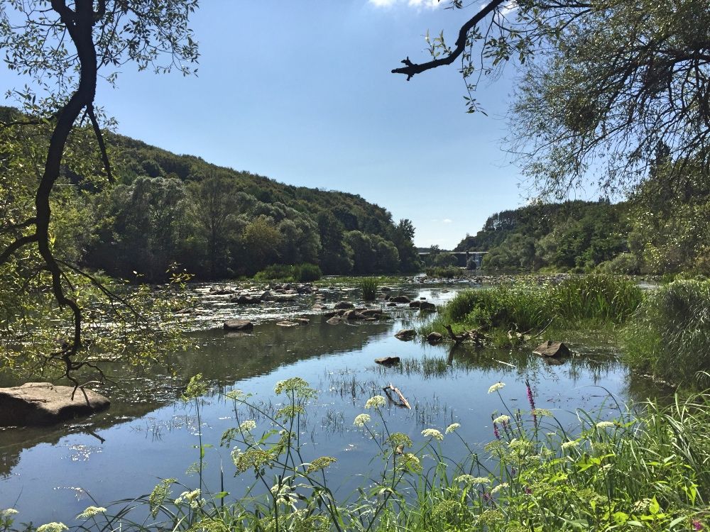 Река Тетерев