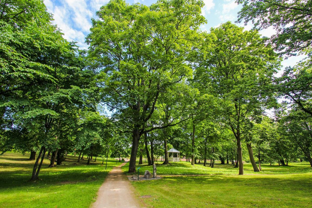 Парк мызы Сака и экспозиция горных пород