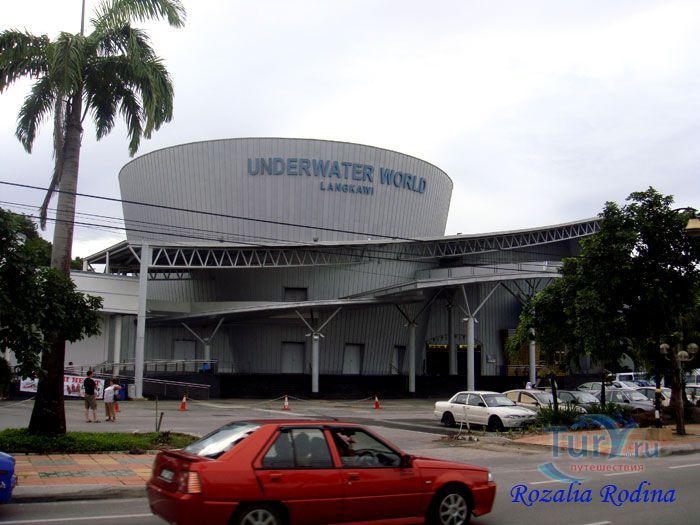 Подводный мир Лангкави
