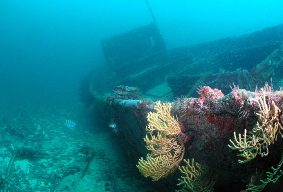 Рам Раннер / Риф Виндмилл (Rum Runner / Windmill Reef)