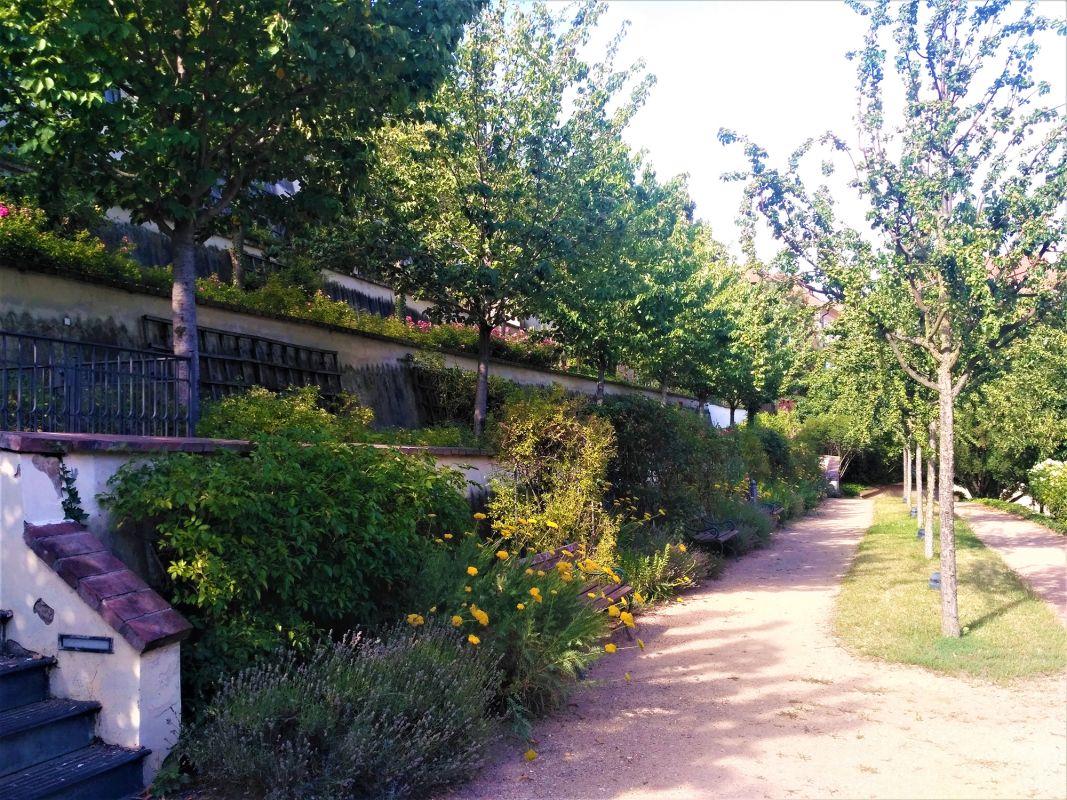 Большой Фюрстенбергский сад