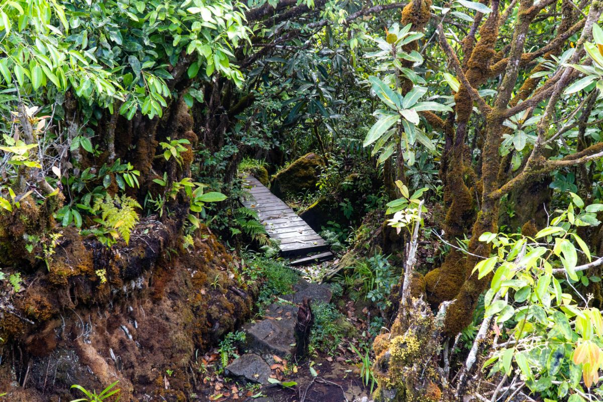 Морн Блан Трейл