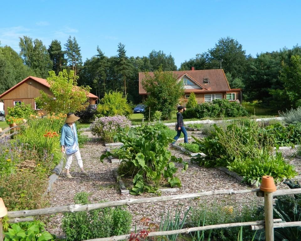 Сад душистых и целебных растений на хуторе Тамме