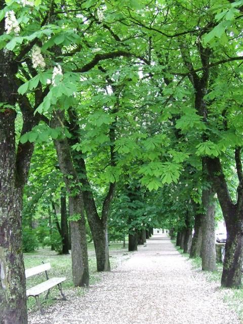 Городской парк Куркссааре