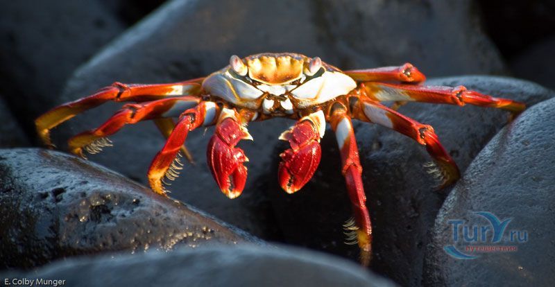 Мыс Пунта Шуарес