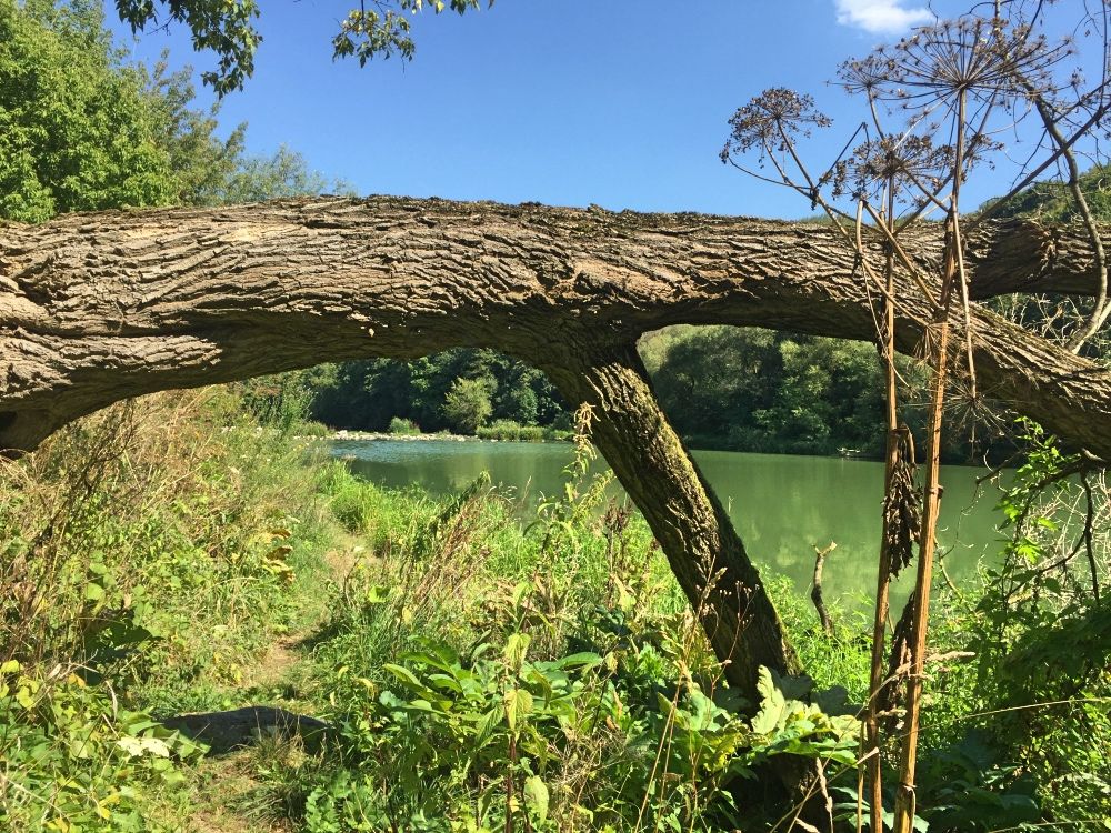 Река Тетерев