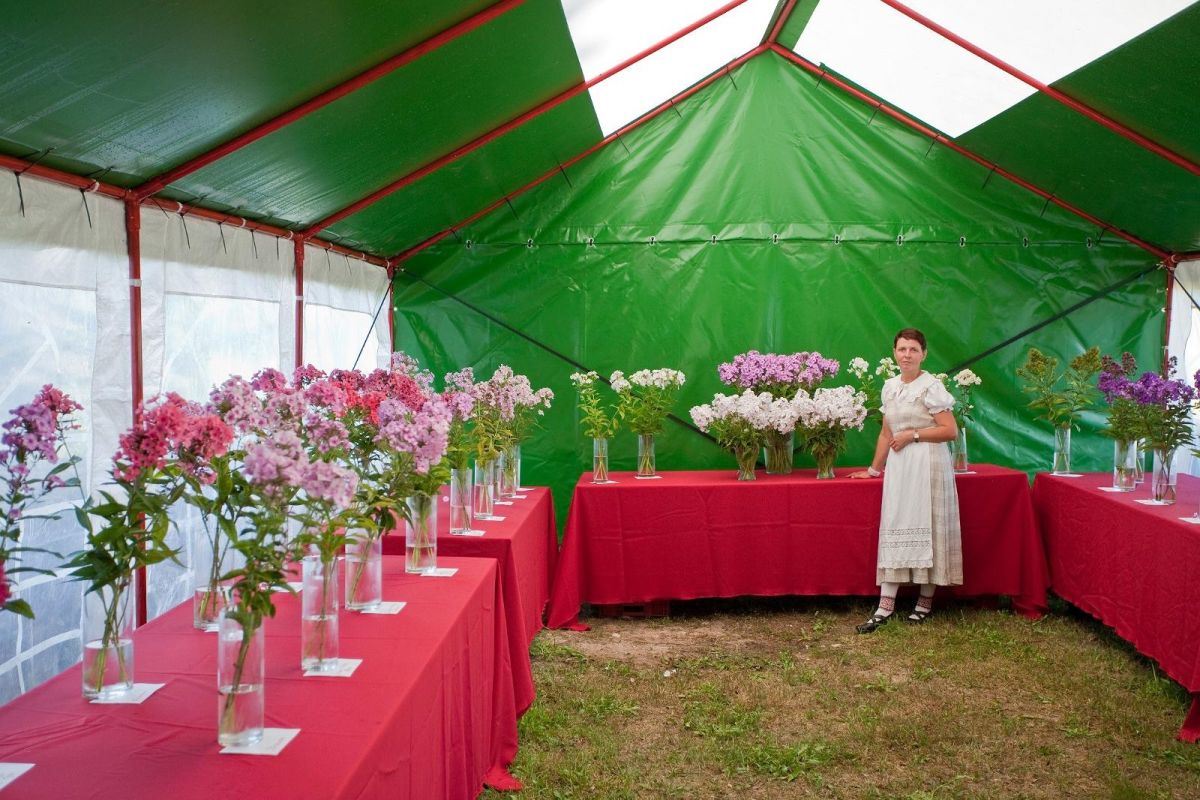 Цветник хутора Нырга