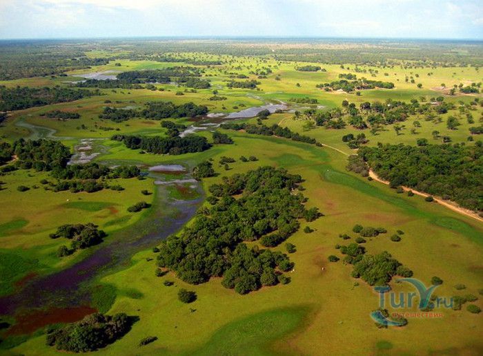 Национальный Парк Пантанал Мату-Гросу