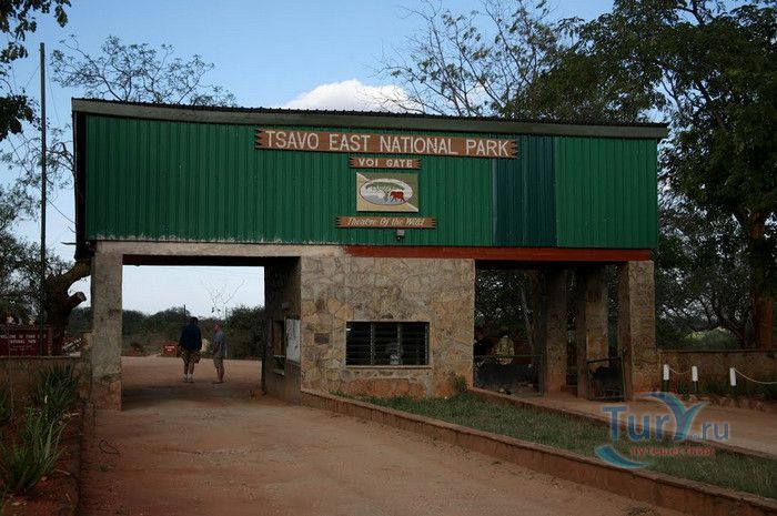Национальный Парк Восточный Тсаво 