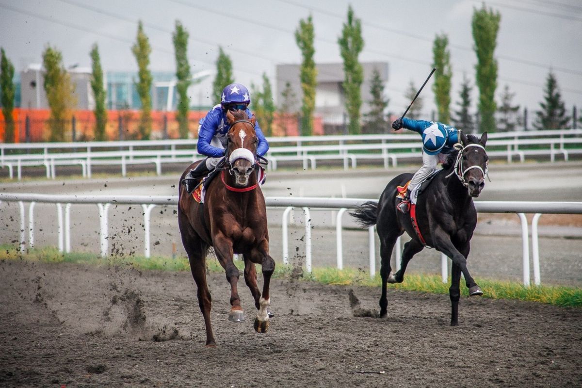 Ипподром Акбузат