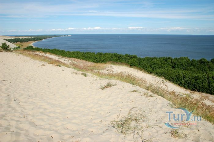 Куршская Коса