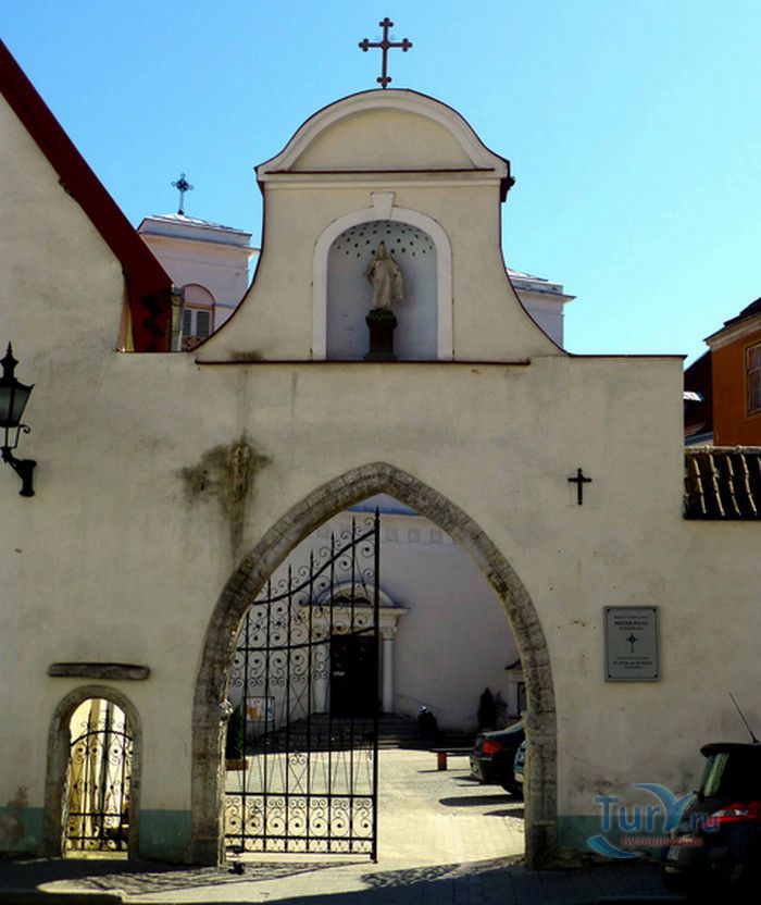 Доминиканский Монастырь в Таллине (Доминиканский Монастырь Святой Екатерины)