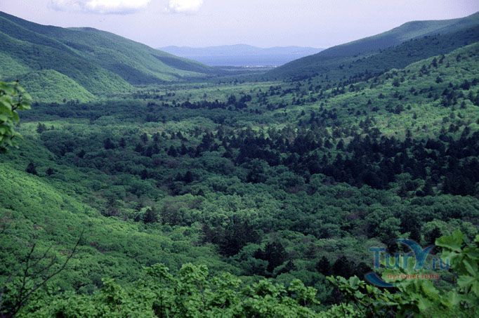 Государственный природный заповедник Кедровая Падь