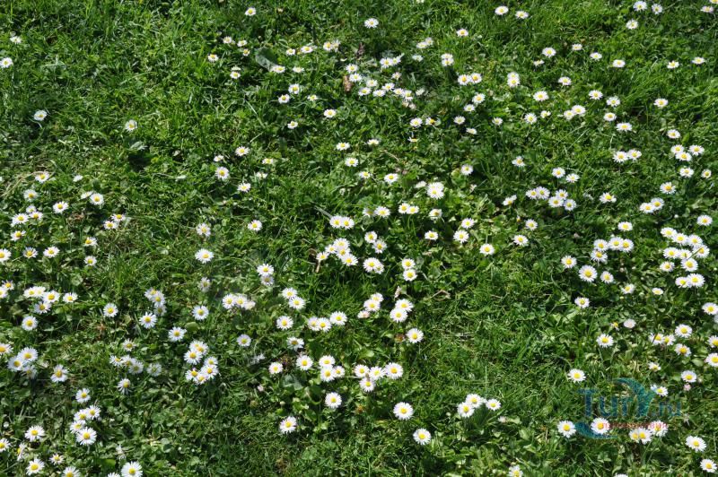 Парк Цитадели (Ciutadella Park)