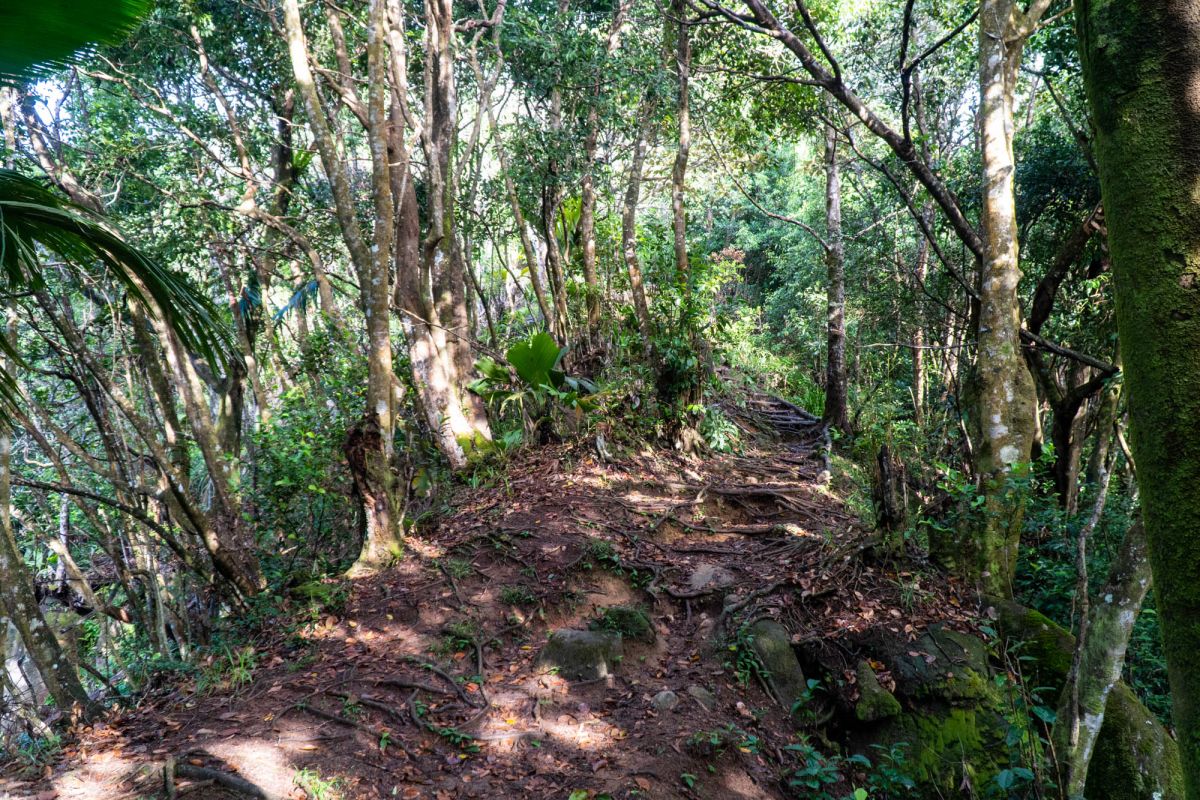 Национальный парк Морн Сейшелуа