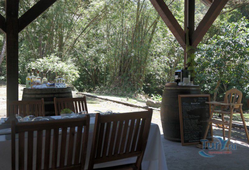 Плантация Абитасьон Серон