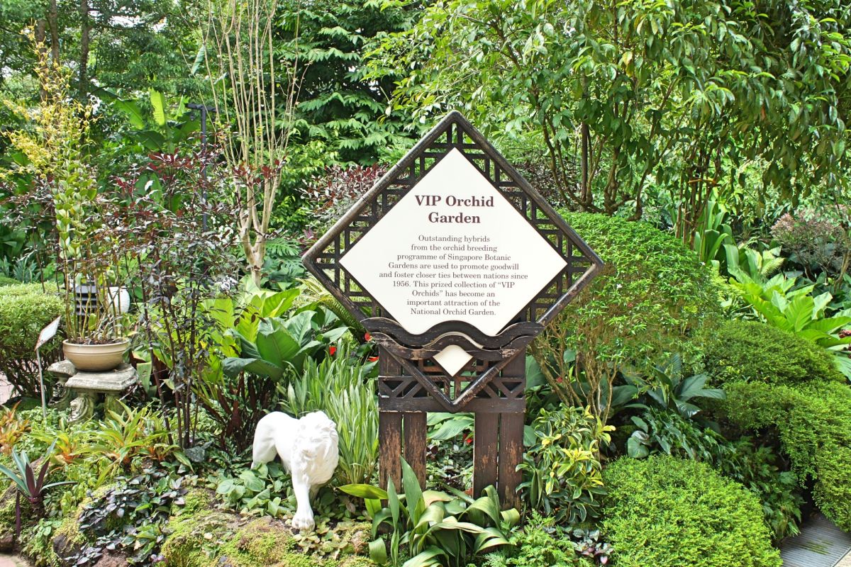 Сингапурский ботанический сад