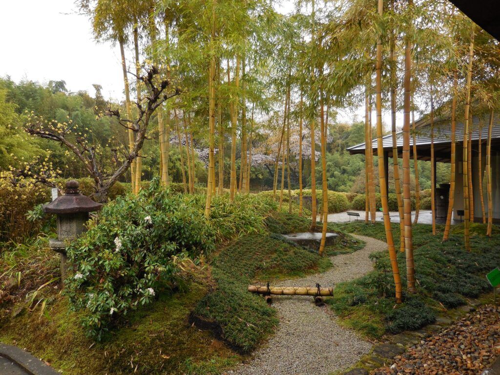 Музей бамбука в парке Ракусаи Тикурин (Бамбуковый лес)