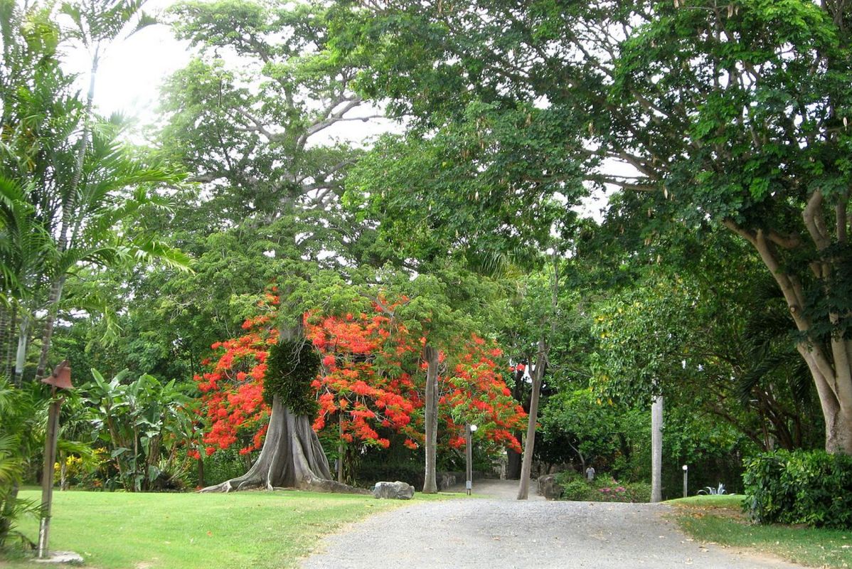 Ботанический сад Сент-Джордж Вилладж