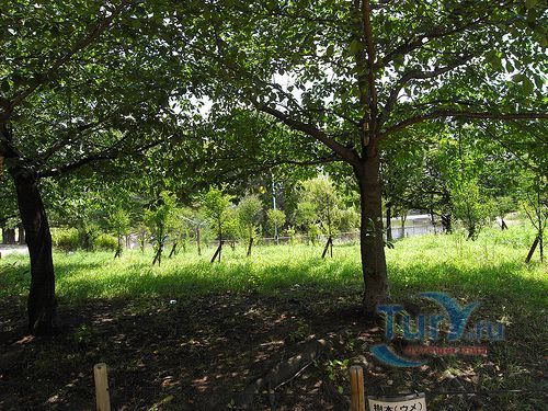 Парк Широкита