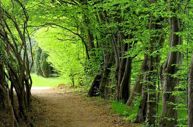 Уникальные Гирканские (Каспий) 