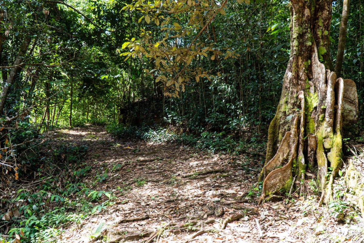 Салази Трейл