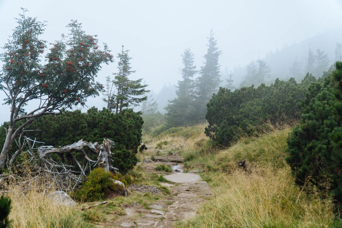 Карконошеский национальный парк