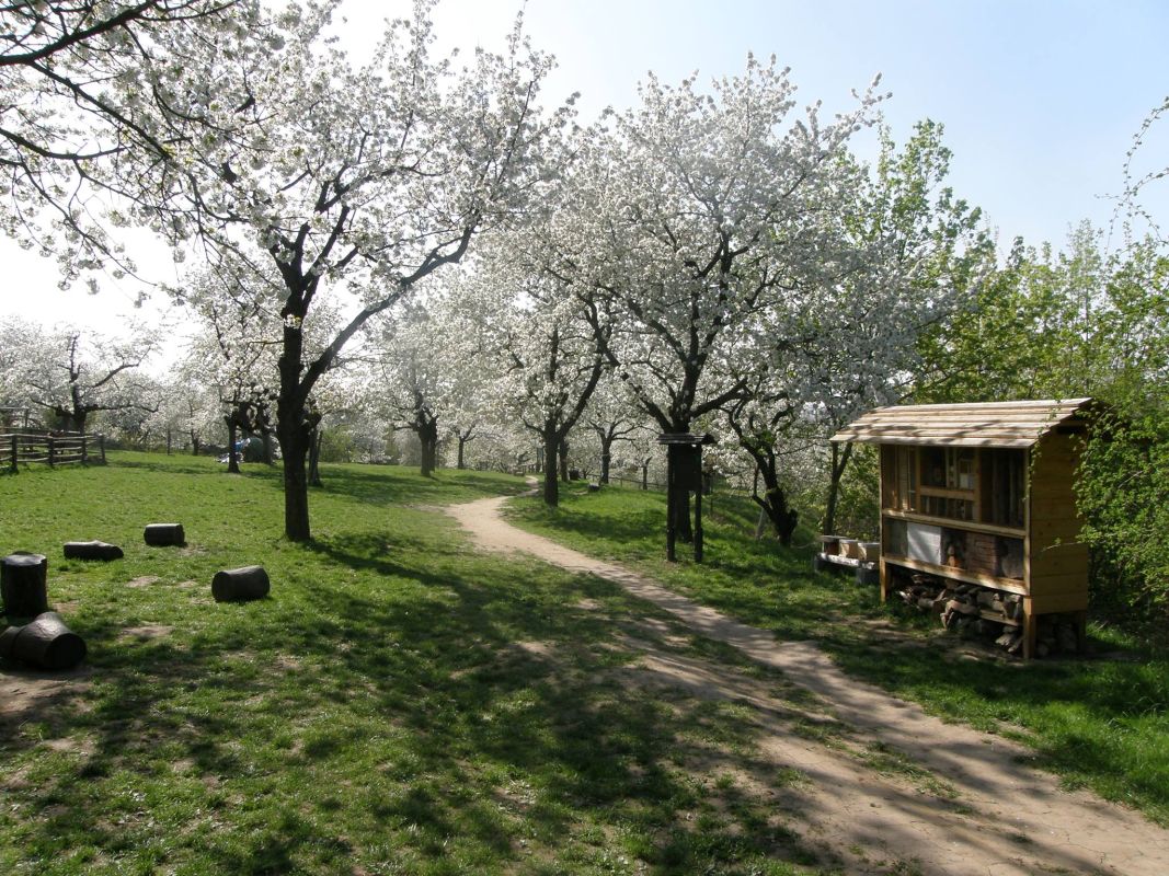 Экологический центр в Праге