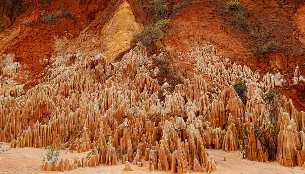 Красные цинги