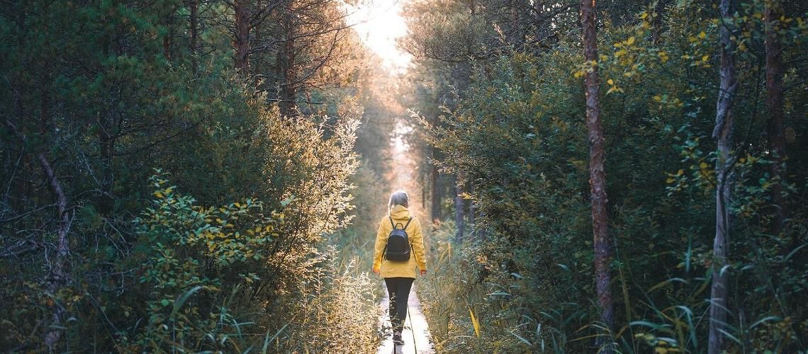 Пять самых популярных однодневных поездок из... фото