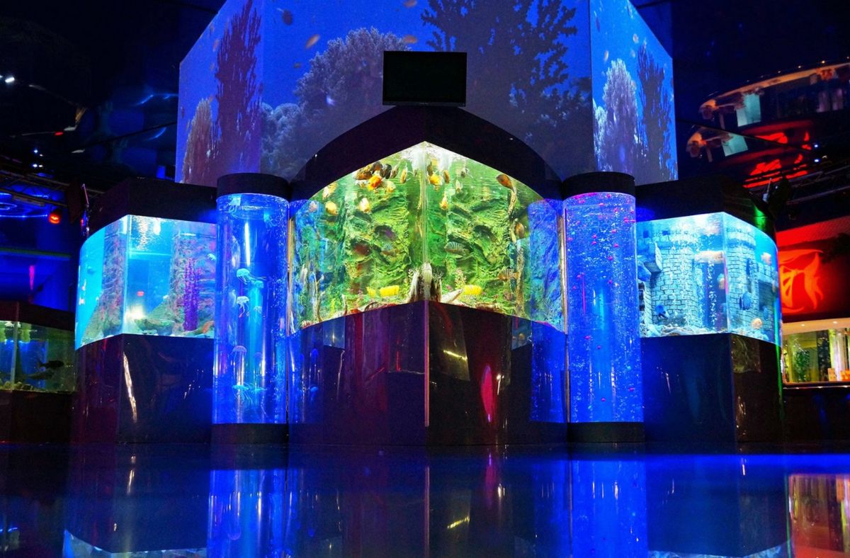 Геленджикский океанариум Океан Парк