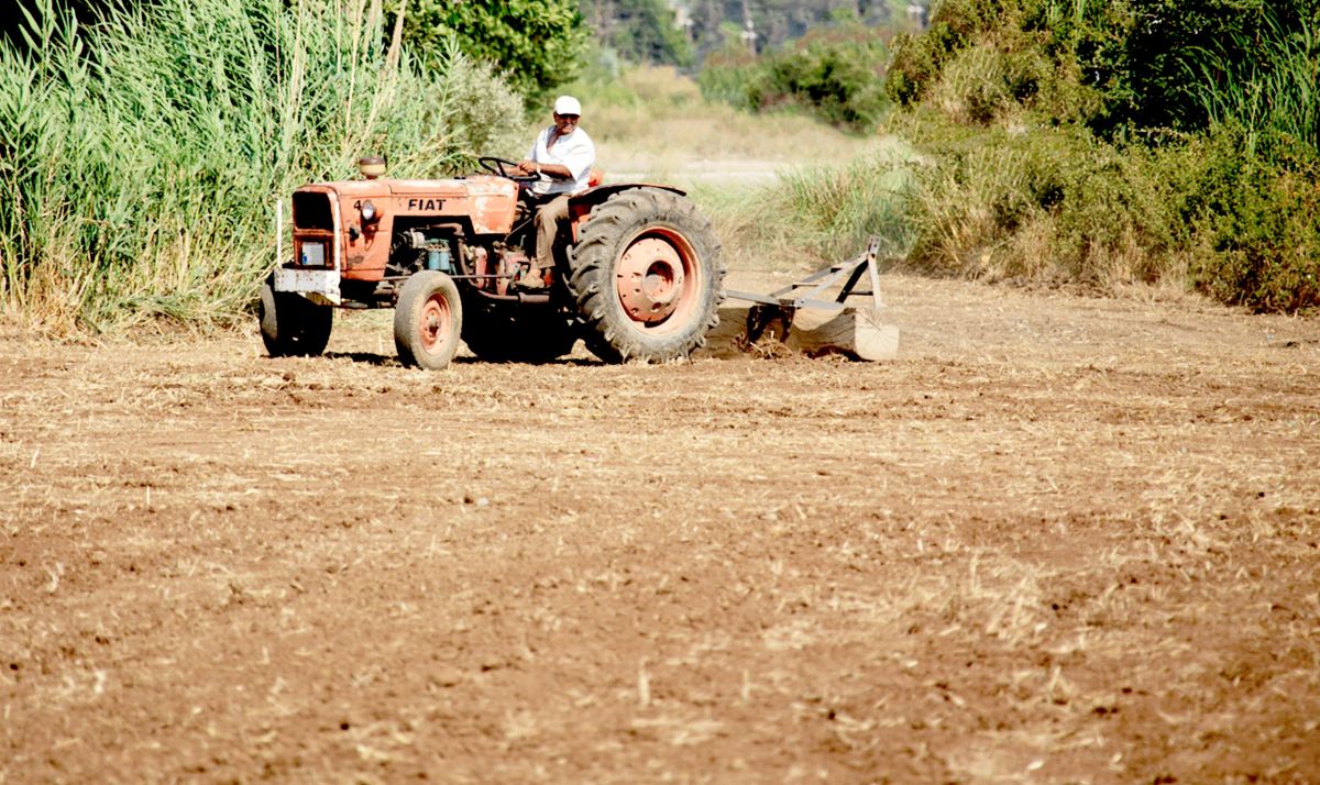 Парк Снеттишан