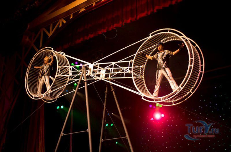 Всемирный Шанхайский Цирк