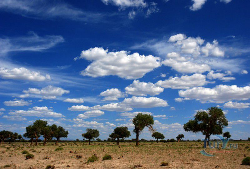 Большой Гобийский Заповедник (Кластер А)