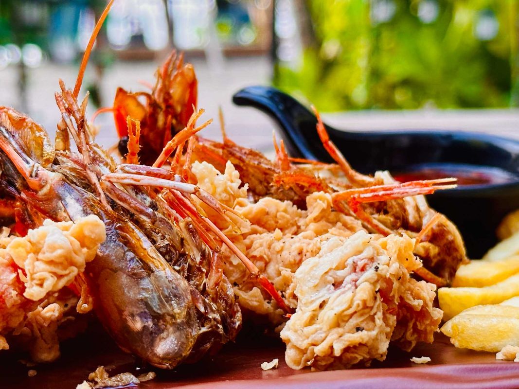 Mr.Octopus - Your holiday Chef