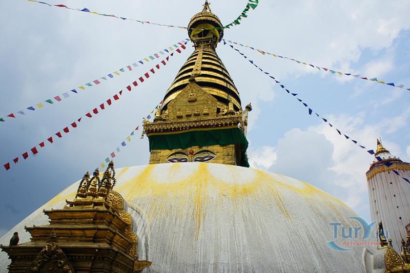 Сваямбунатх (Храм обезьян)