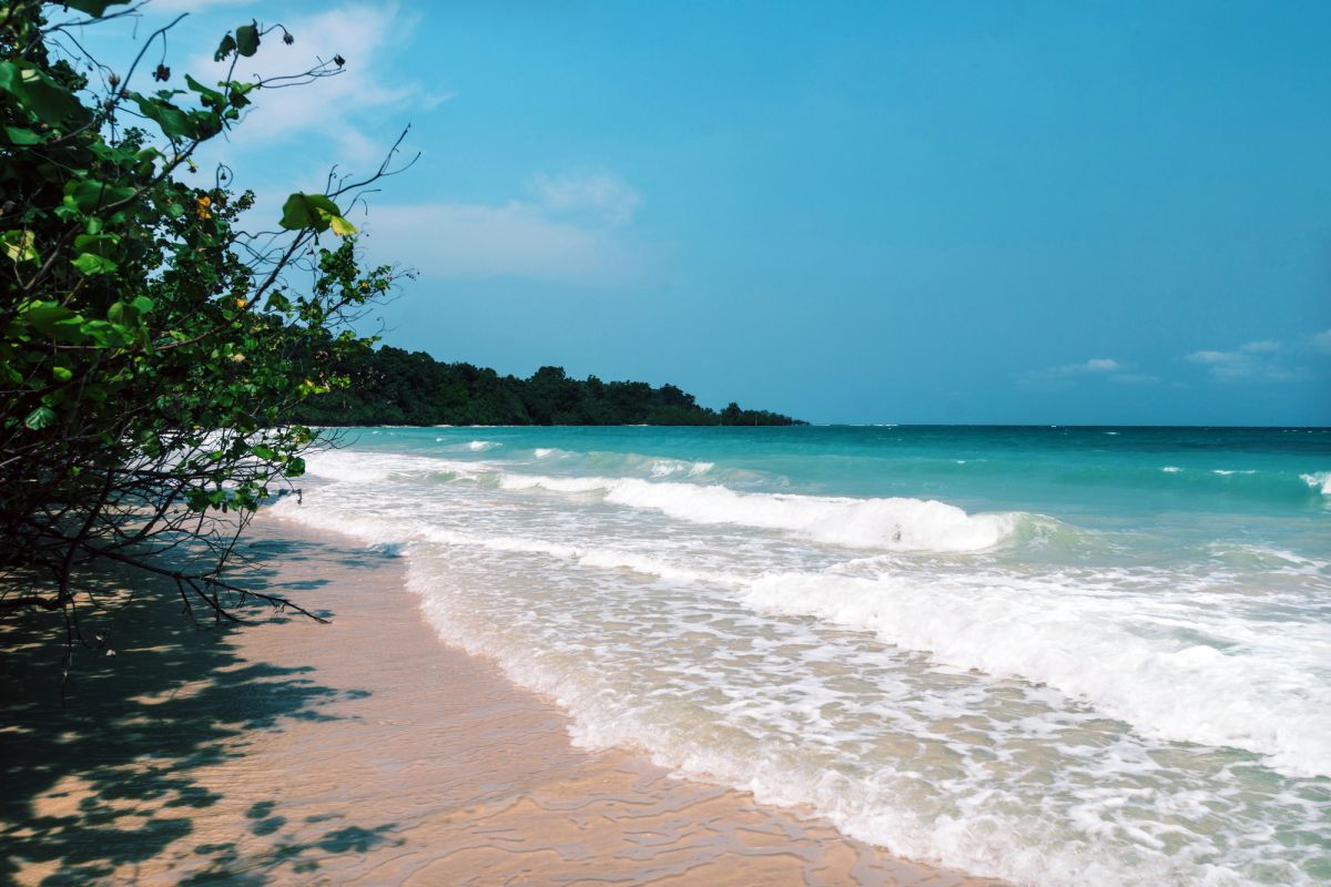 Остров Серф