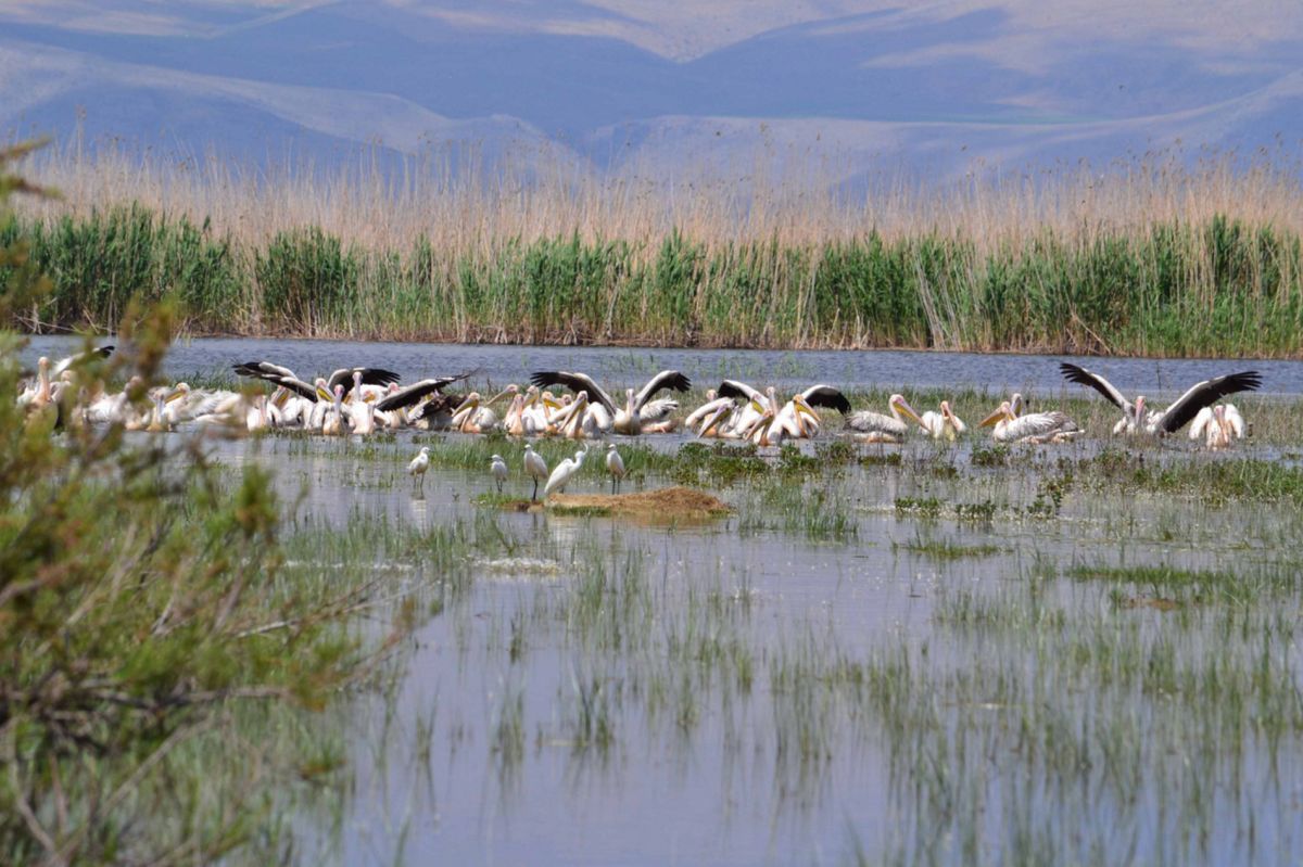 Озеро Акшехир