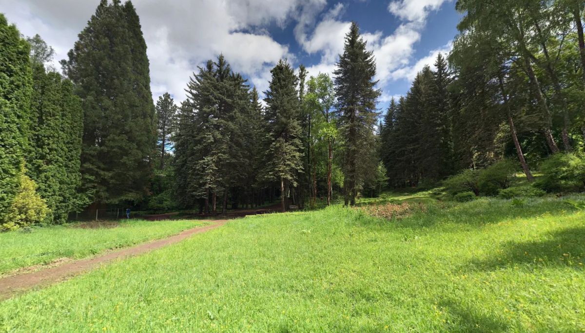 Степанаванский дендропарк