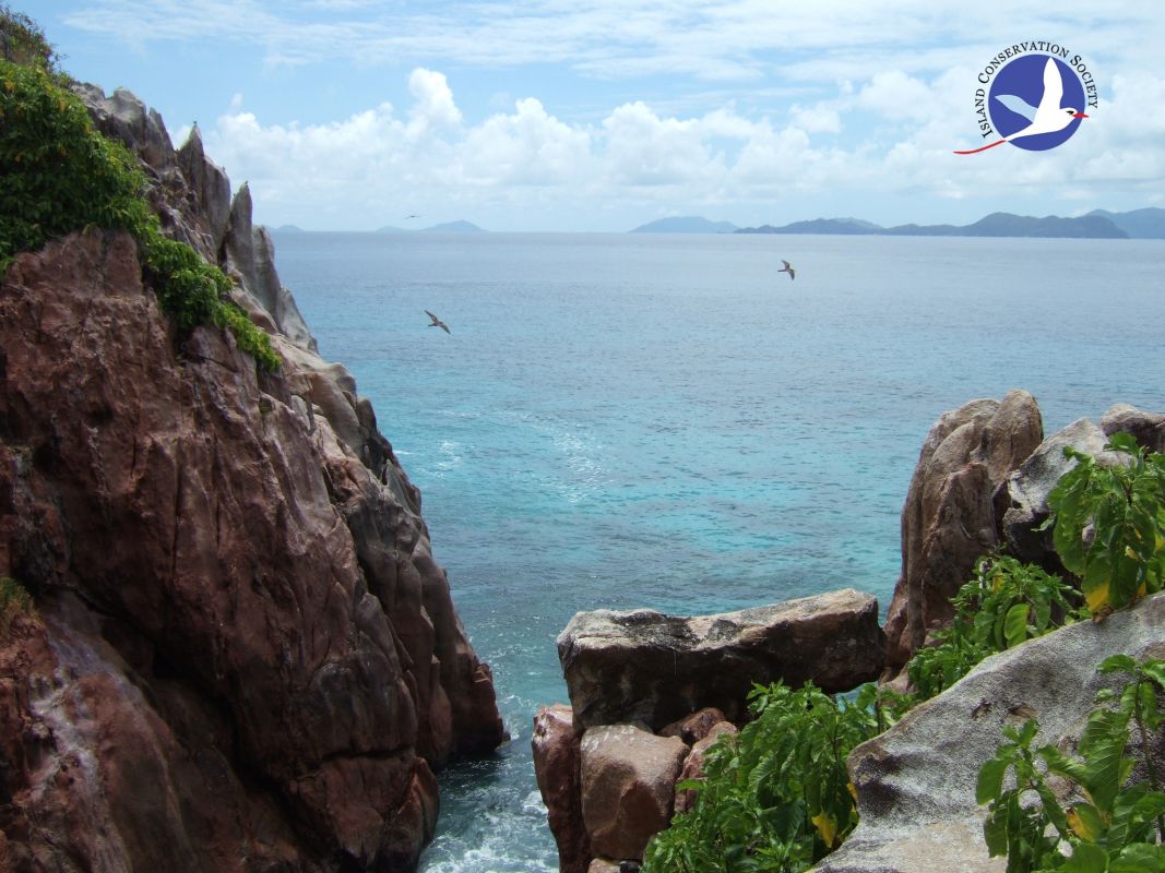 Особый заповедник острова Арид