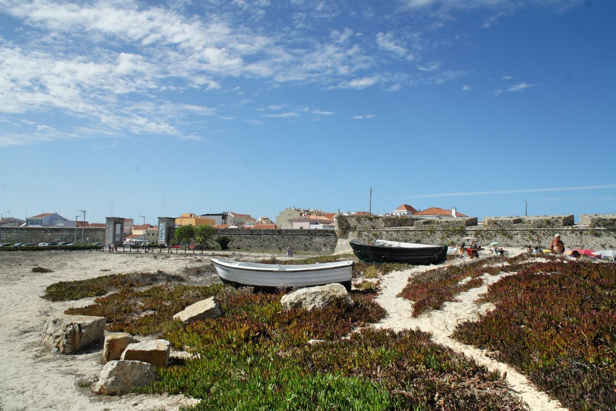 Стена Пениксима