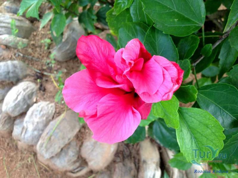 Деревня народных ремесел Домен де Валь де Пре