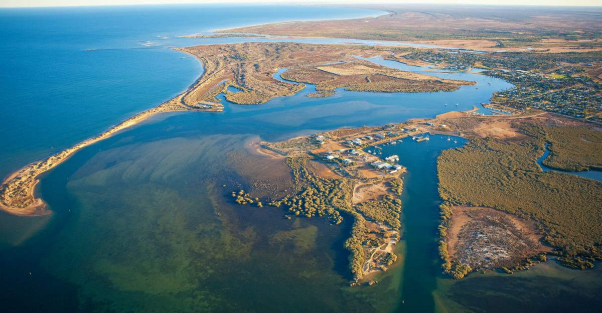 Залив Шарк (Акулья бухта)