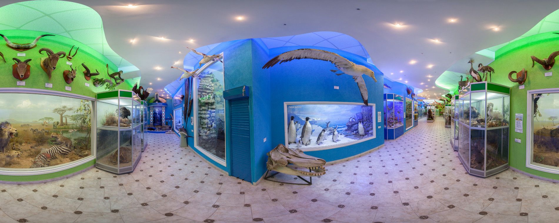 Зоологический музей в Симферополе