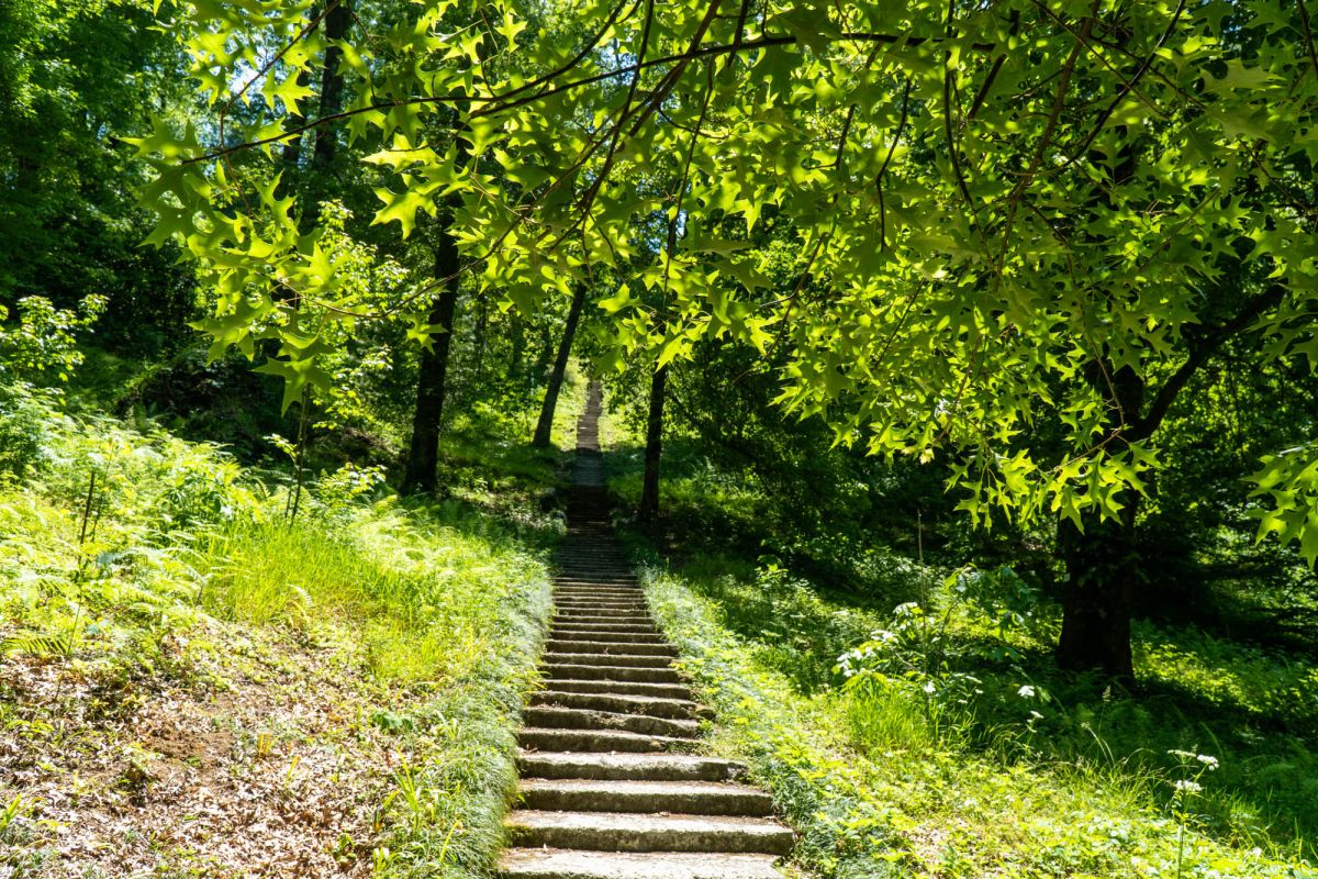 Батумский ботанический сад
